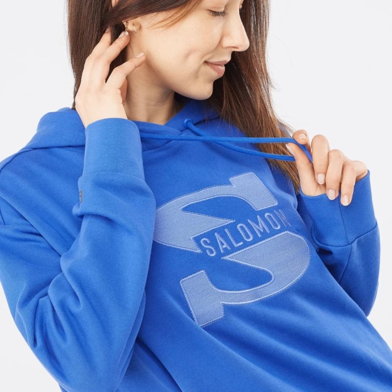 Blue Salomon Outlife Logo Summer Women's Sweatshirt | PH 89754K